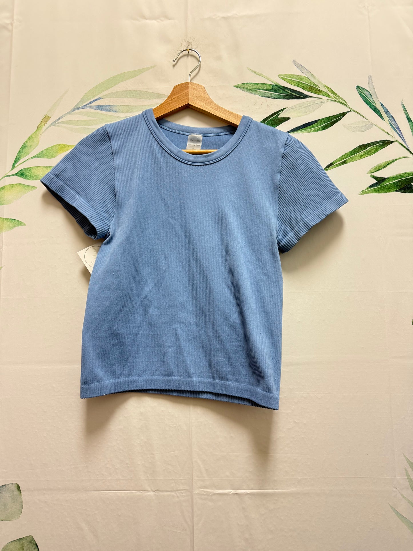 Aritzia Sunday Best SinchSeamless Rib Willow Tee (L)