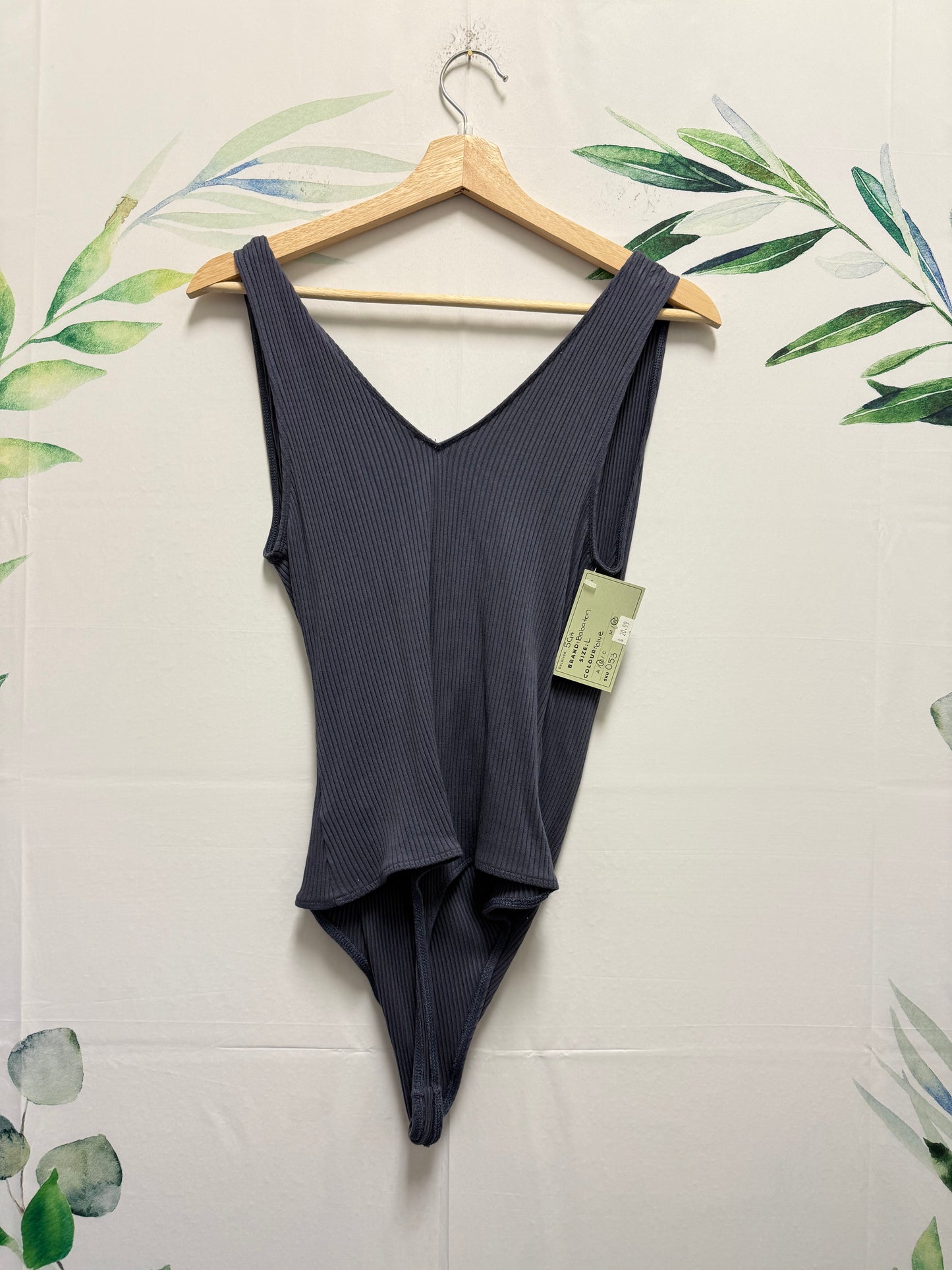 Aritzia Babaton Deep V Bodysuit (L)