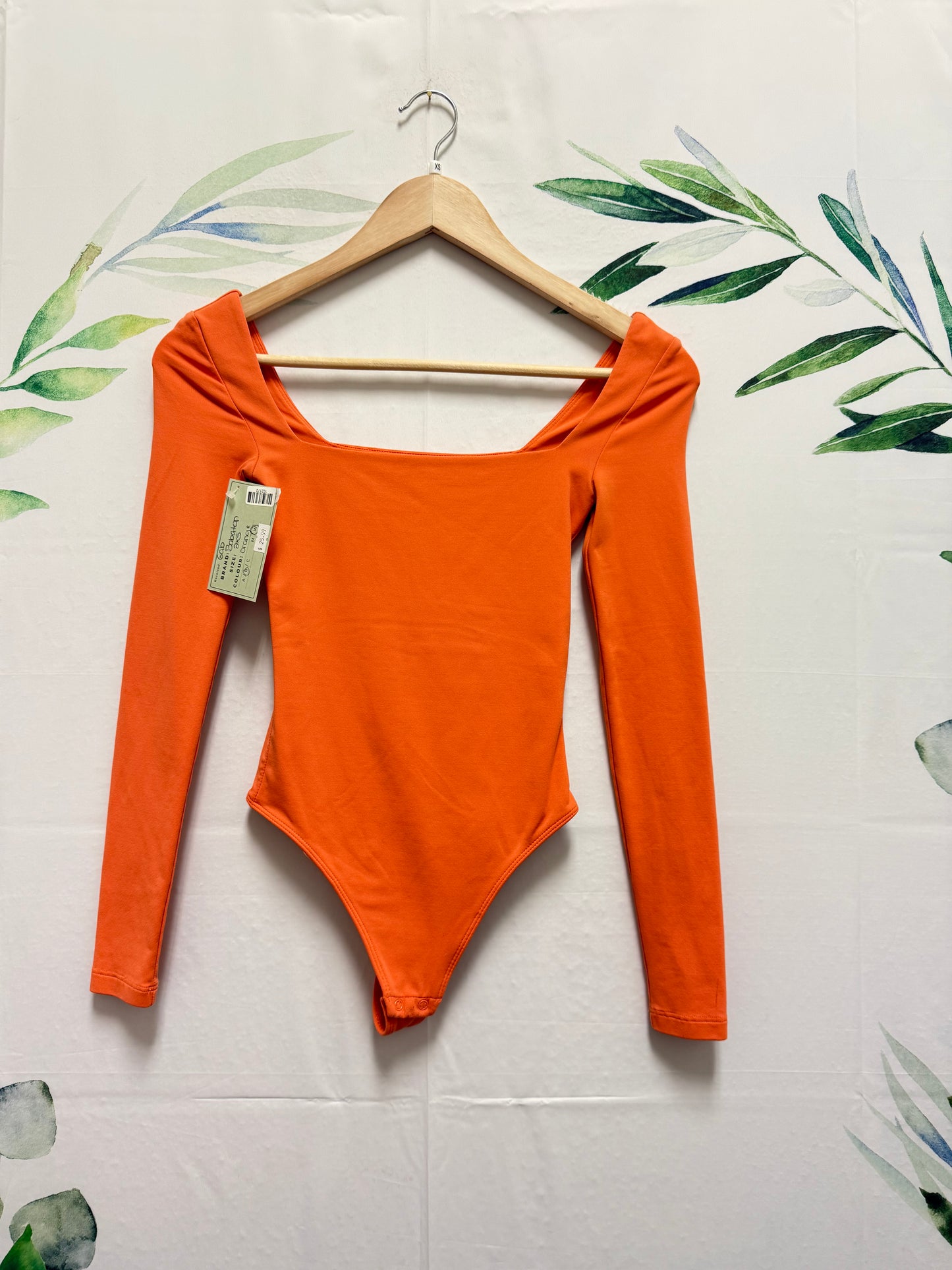 Aritzia Babaton Contour Squareneck Longsleeve Bodysuit (2XS)