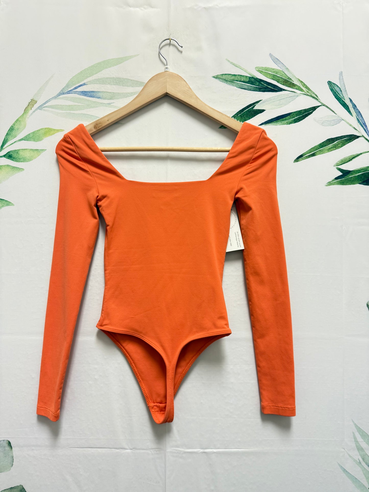 Aritzia Babaton Contour Squareneck Longsleeve Bodysuit (2XS)