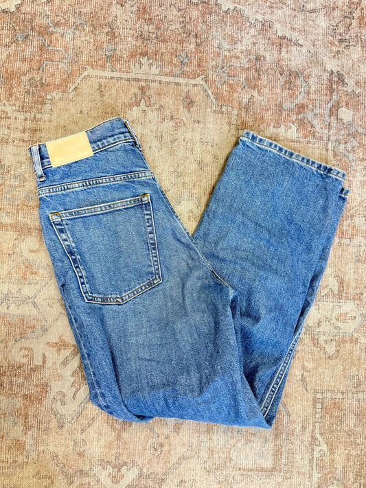 Everlane The Way HR Jeans (26x28)