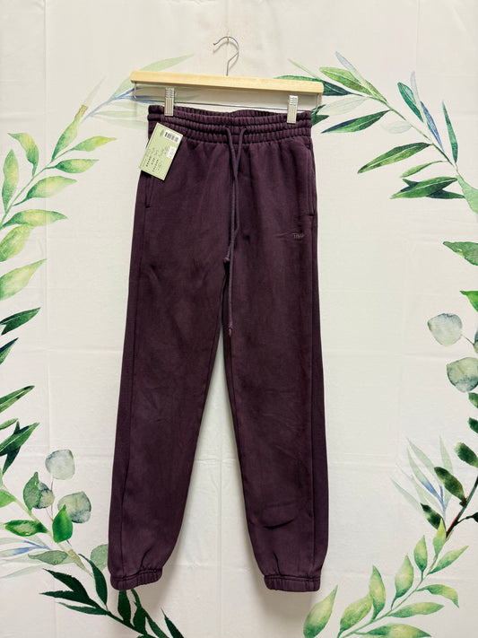 Aritzia TNA Sweatfleece Boyfriend Jogger (3XS)