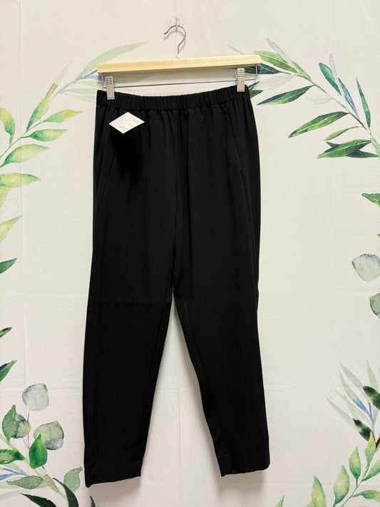 Aritzia Babaton Dexter Pant (S) (L)