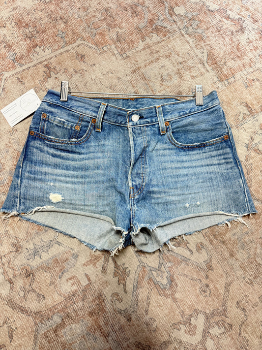 Levi’s 501 Shorts (28)