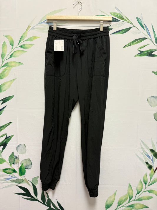 Aritzia TNA Speed Jogger (S)