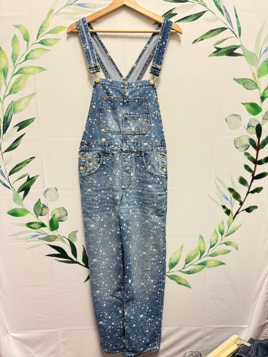 Free People Denim Overalls (XS)