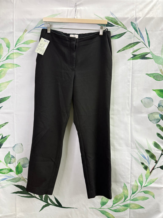 Aritzia Babaton Markova MR Pant 28” (10)