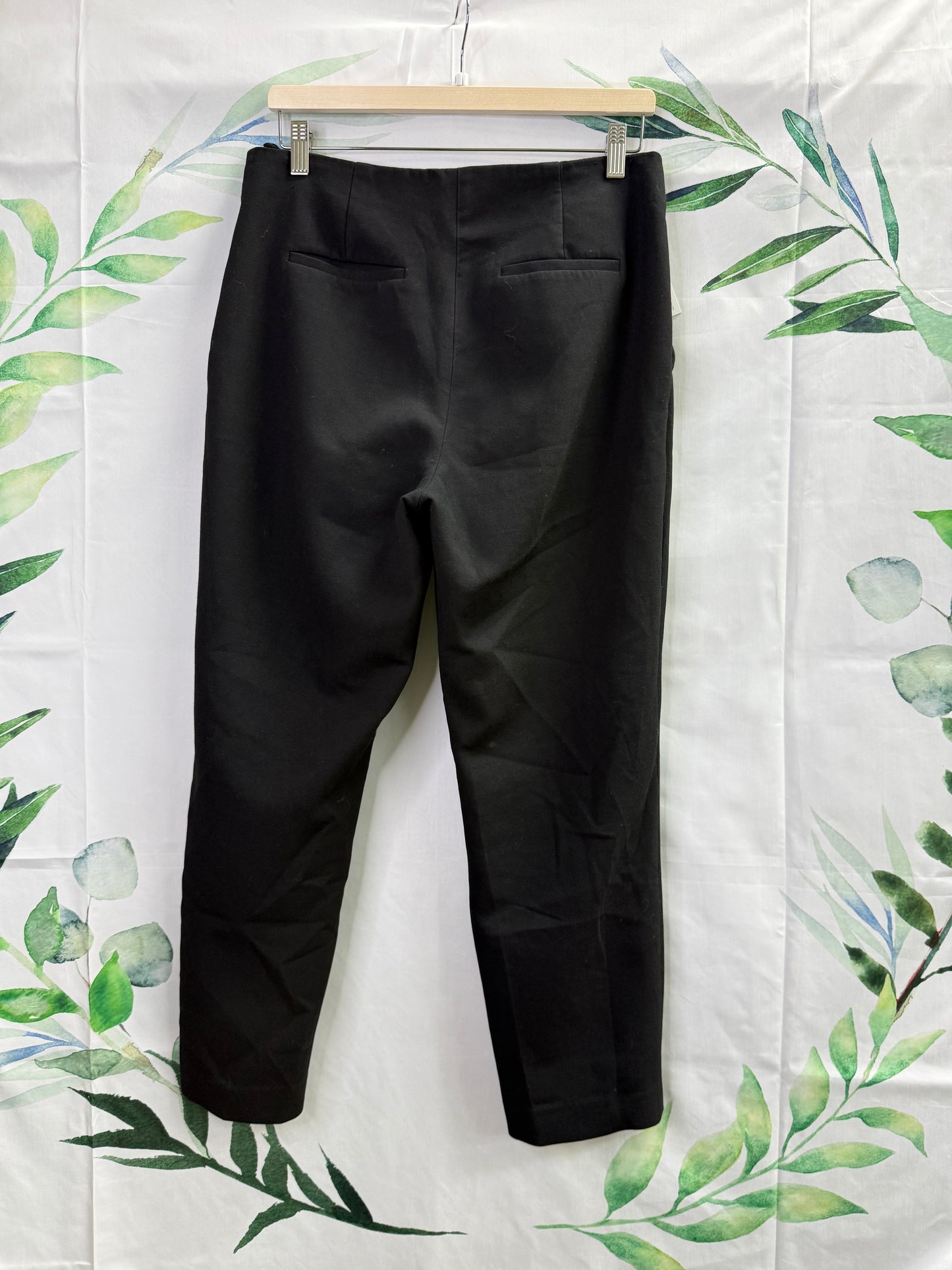 Aritzia Babaton Markova MR Pant 28” (10)