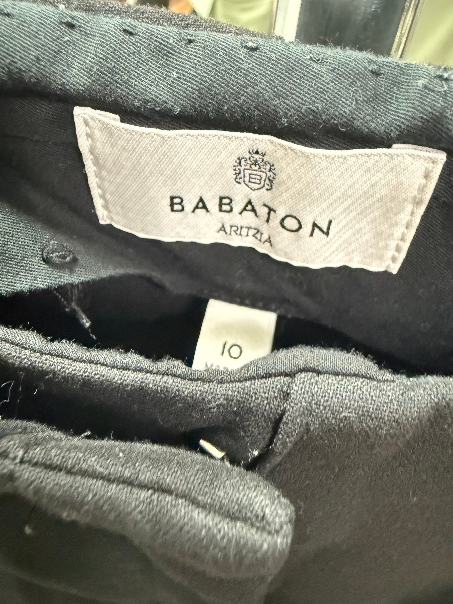 Aritzia Babaton Markova MR Pant 28” (10)