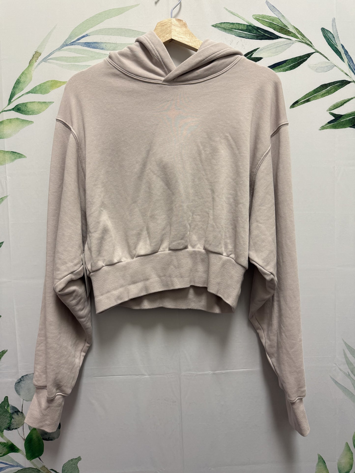 Aritzia TNA Shrunken Hoodie (M)