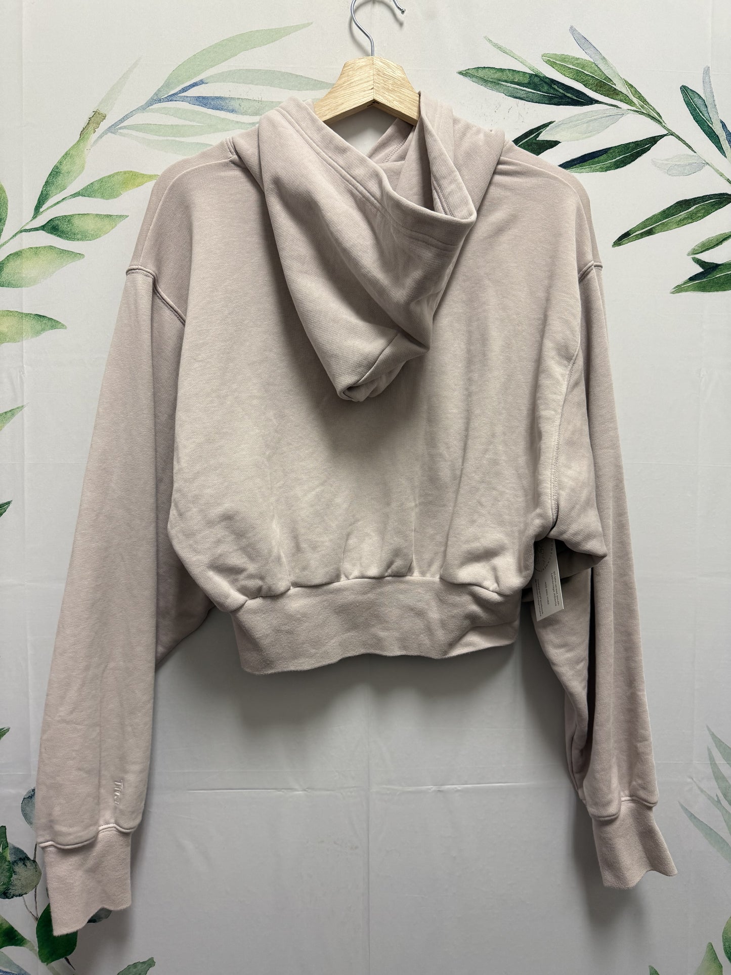 Aritzia TNA Shrunken Hoodie (M)