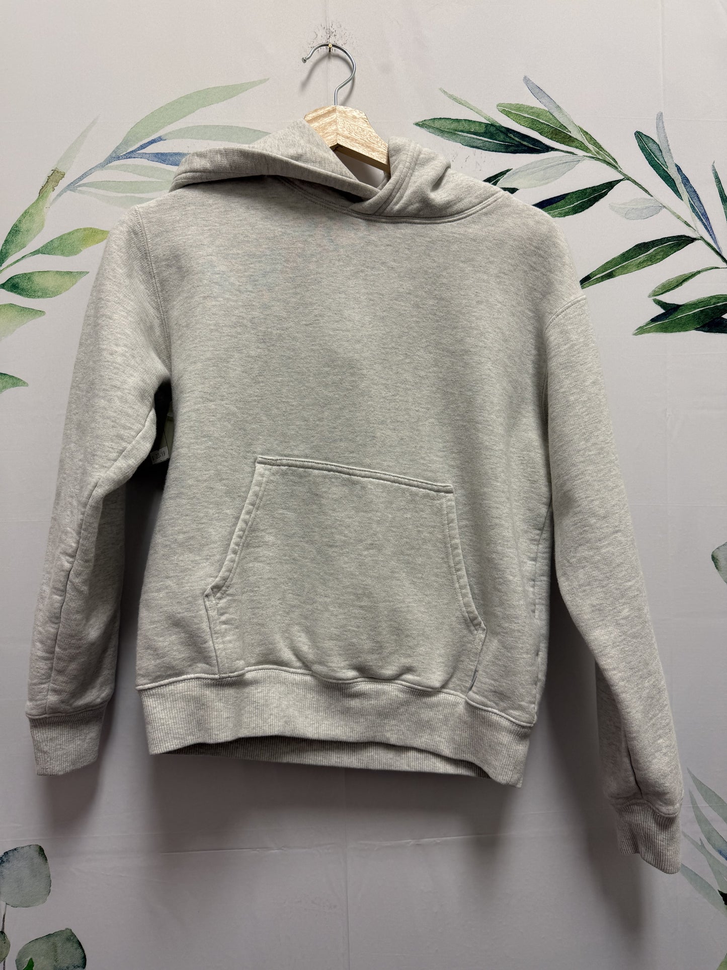 Aritzia TNA Hoodie (XXS)