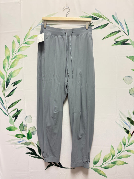 Lululemon License to Train HR Jogger 29” (14)