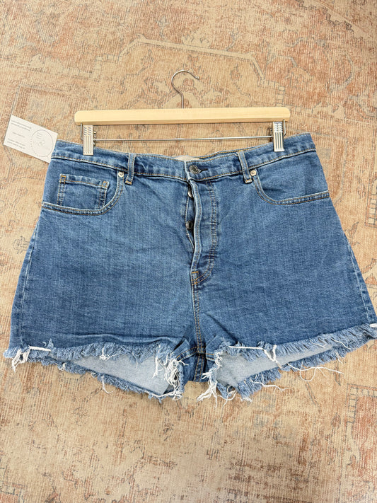 Everlane Cheeky HR Shorts (32)