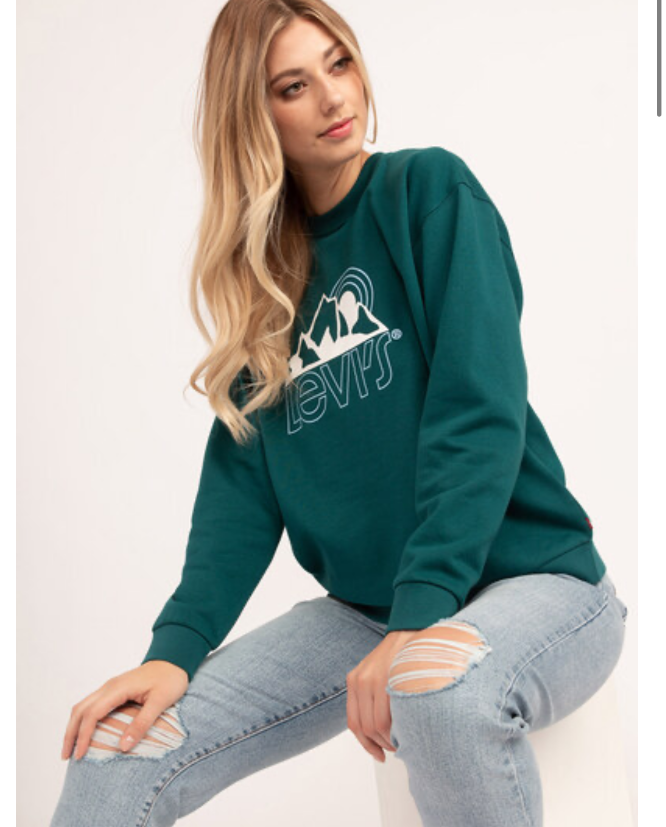 Levi’s Graphic Salinas Mountains Crewneck (L)