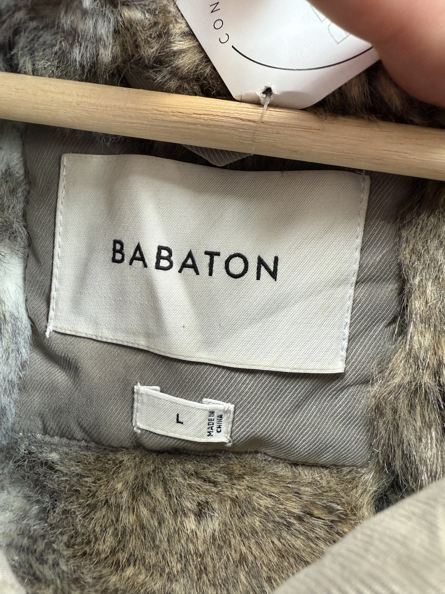 Aritzia Babaton Oskar Parka (L)