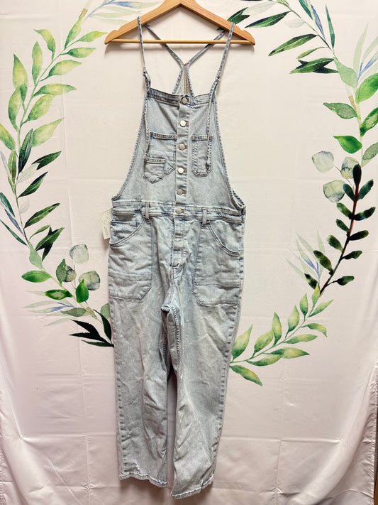 Anthropologie Pilcro Painters Overalls (L)