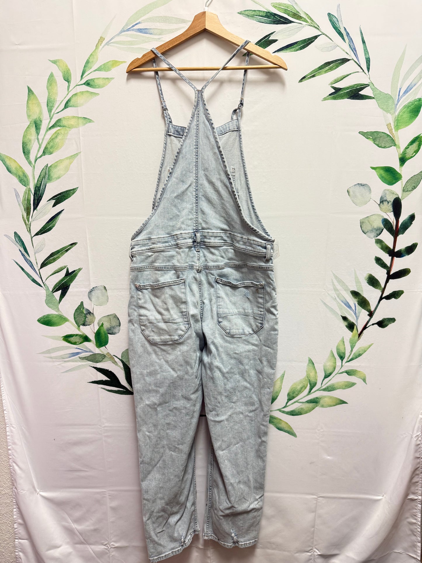 Anthropologie Pilcro Painters Overalls (L)