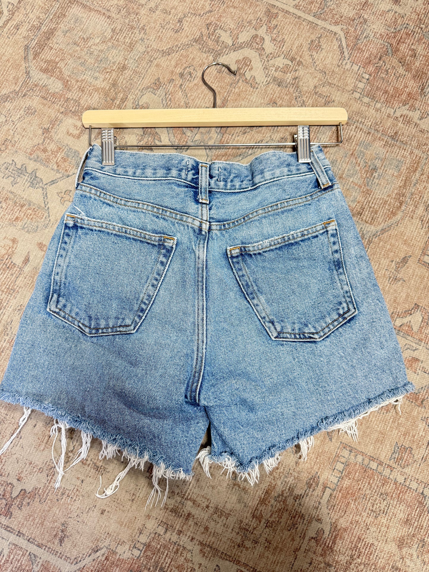 Agolde Parker HR Shorts (24)