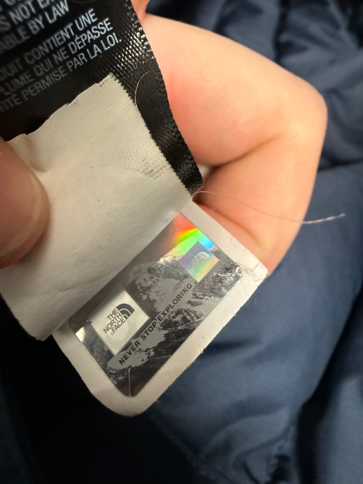 The North Face Parka (L)