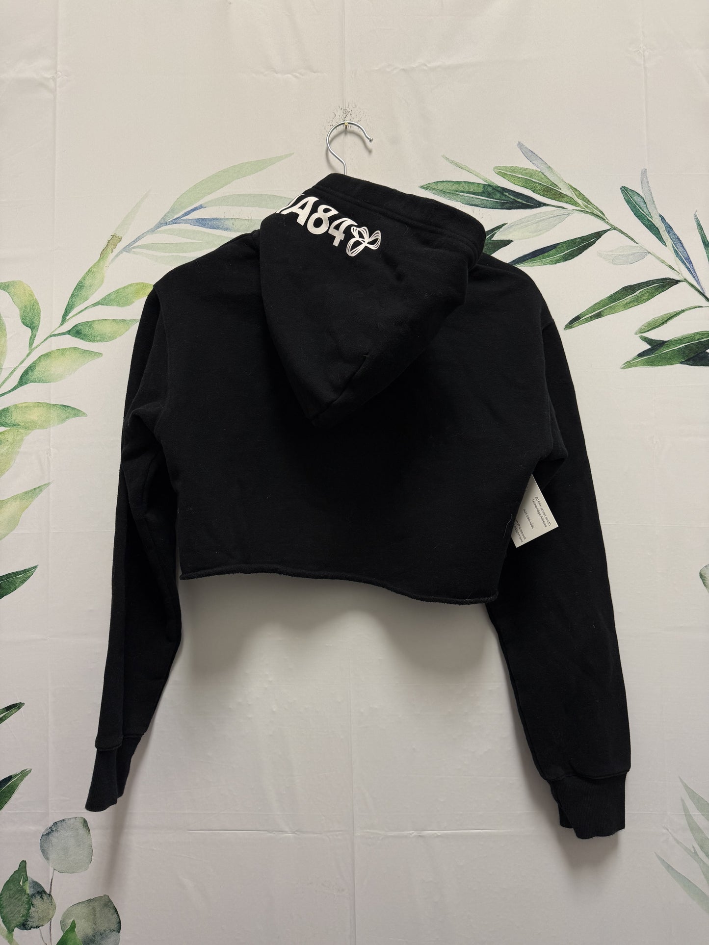 Aritzia TNA Cropped Hoodie (XS)