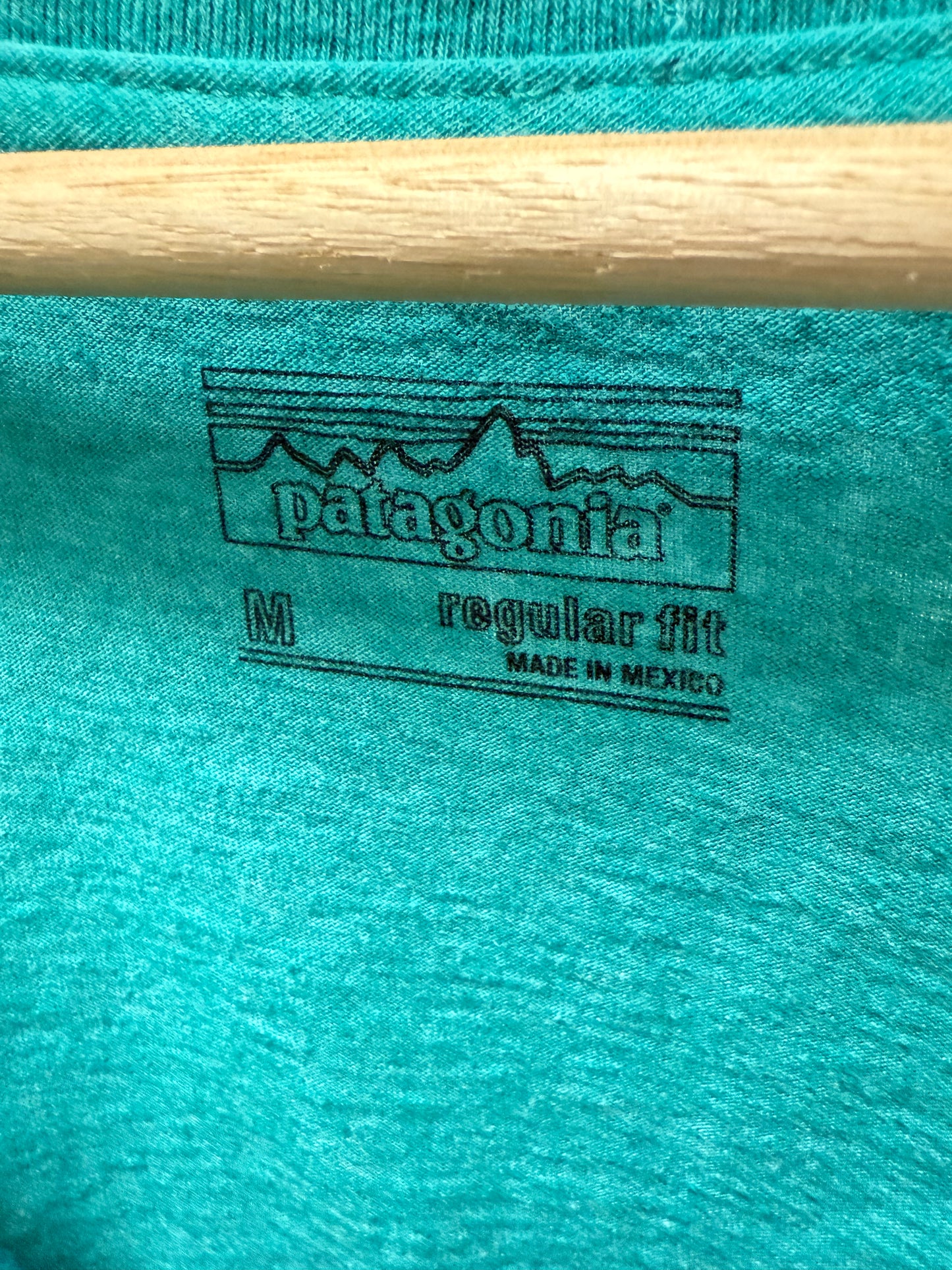 Patagonia Bison Tee (M)