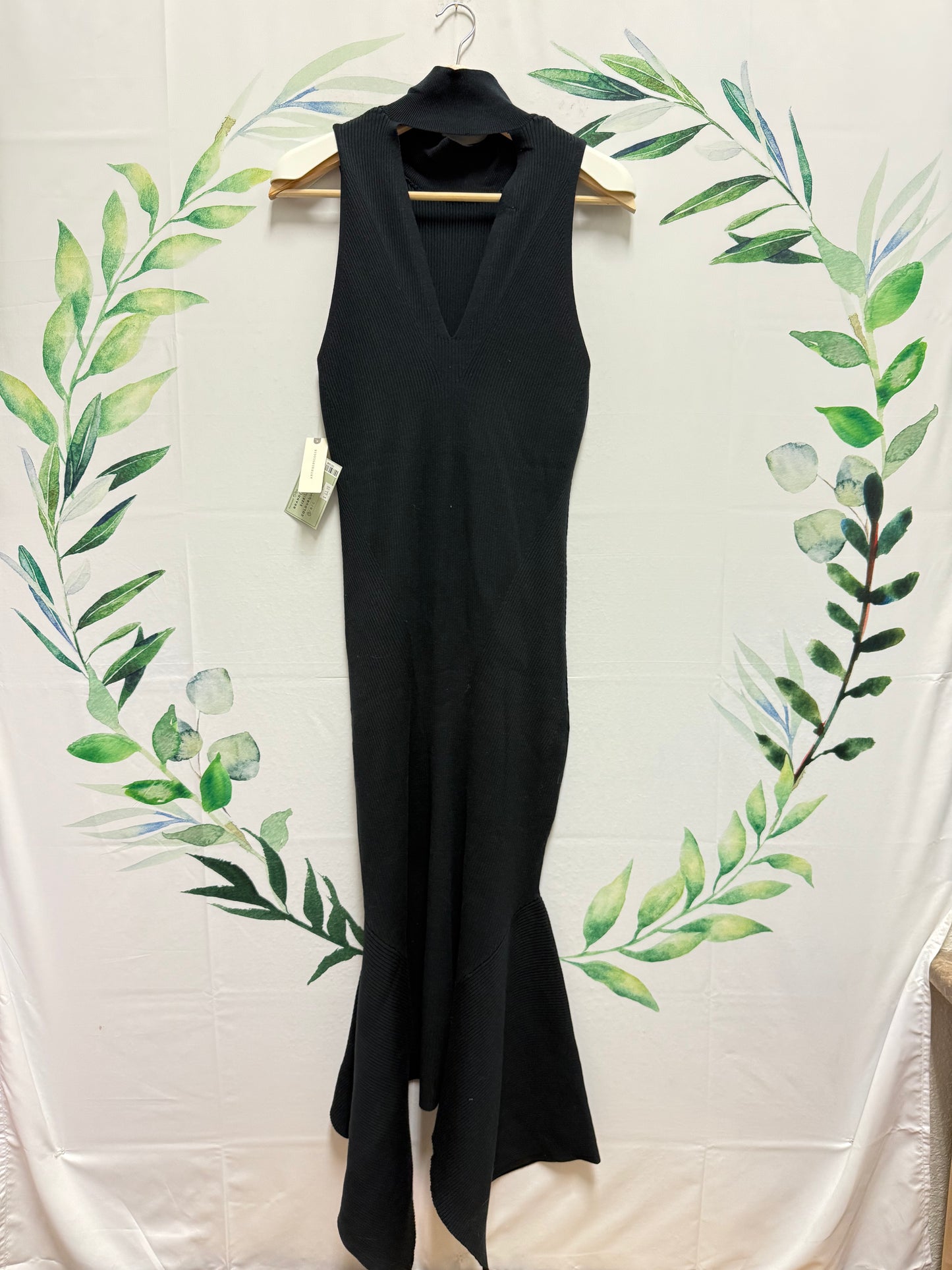 Anthropologie Shaping Flare Dress (L)