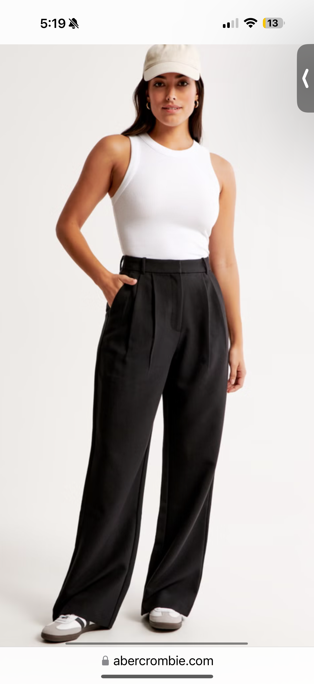 Abercrombie Sloan Tailored Wide Leg Pant (14 / 32)