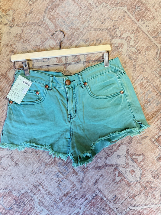 Free People Cut Off Shorts (28)