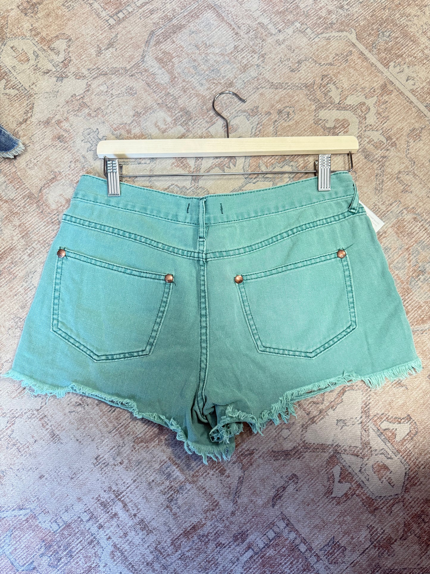 Free People Cut Off Shorts (28)