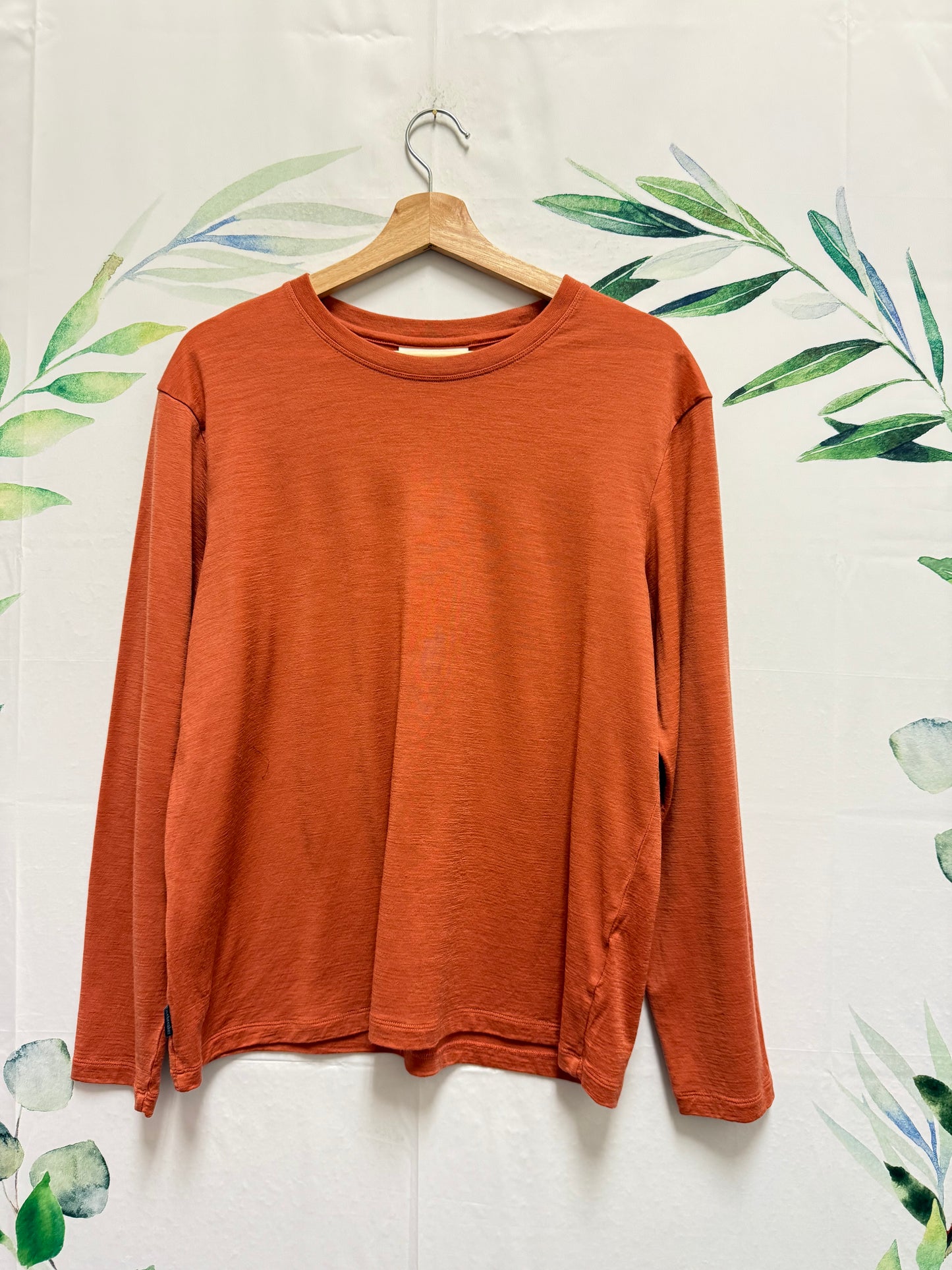 IceBreaker Merino Longsleeve (L)