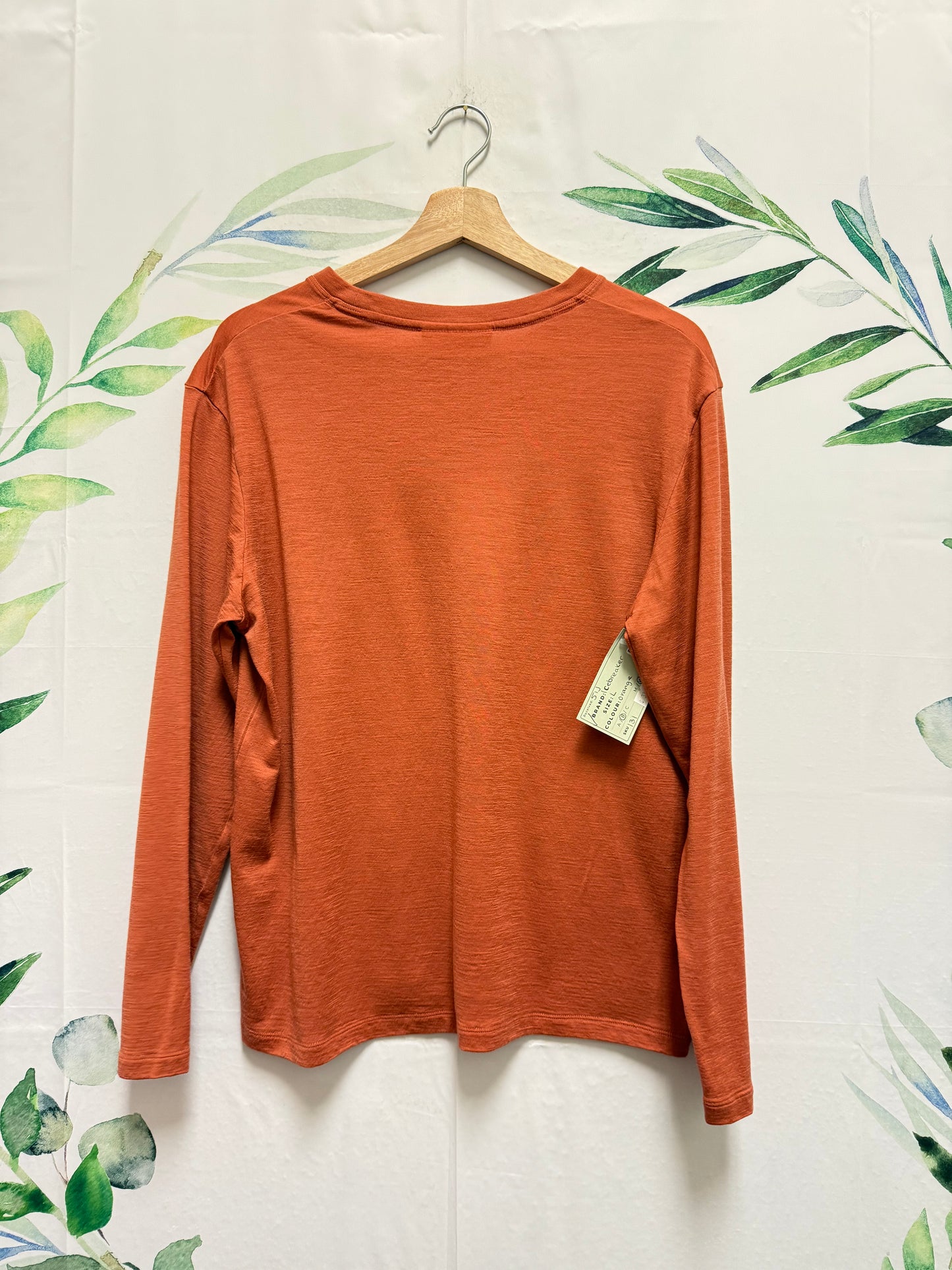 IceBreaker Merino Longsleeve (L)